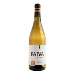 VINO BLANCO PAYVA SOLO CAYETANA
