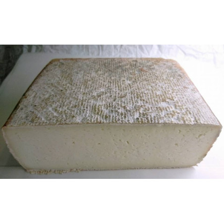 QUESO CASTRUM ERA MAXIMUS CUÑA 450GR