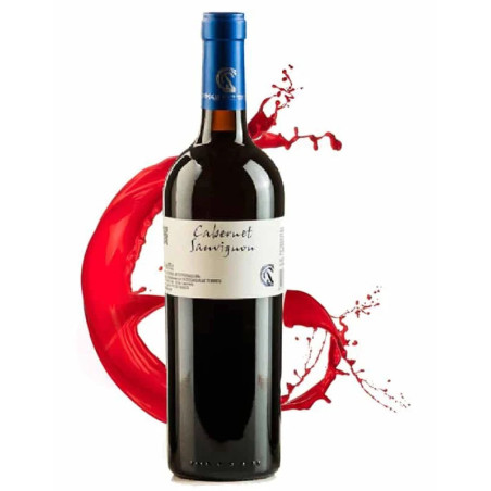 VINO TINTO RUIZ TORRES CABERNET SAUVIGNON